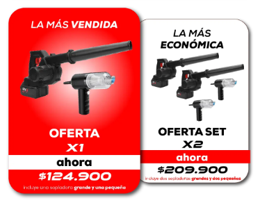 Sopladora profesional + Aspiradora mini ll Pulcrum